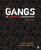 Gangs in America’s Communities Third Edition by James C. Howell