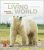 Essentials of The Living World 5Th Edition By George Johnson – Test Bank