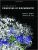 Lehninger Biochemistry 5th Edition-Test Bank